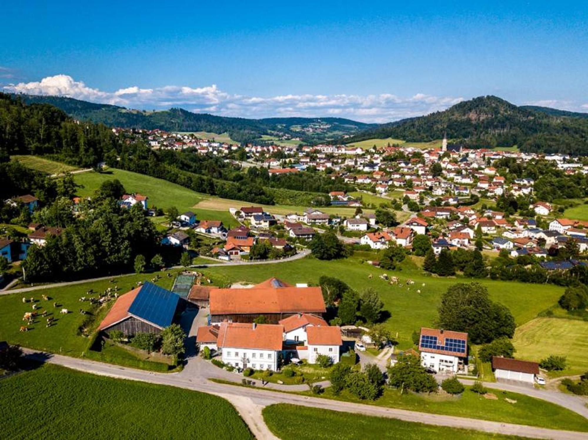 Апартаменти Ferienbauernhof Rosenberger Гауценберг Екстер'єр фото